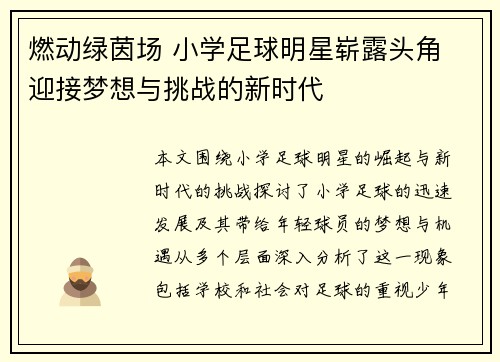 燃动绿茵场 小学足球明星崭露头角 迎接梦想与挑战的新时代
