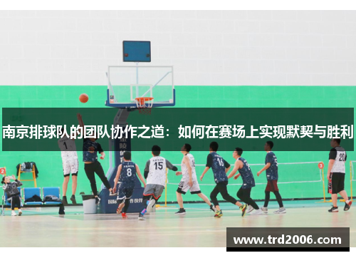 南京排球队的团队协作之道：如何在赛场上实现默契与胜利