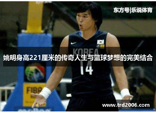 姚明身高221厘米的传奇人生与篮球梦想的完美结合