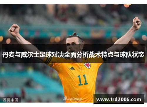 丹麦与威尔士足球对决全面分析战术特点与球队状态