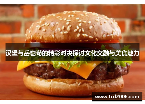汉堡与岳鬯苟的精彩对决探讨文化交融与美食魅力